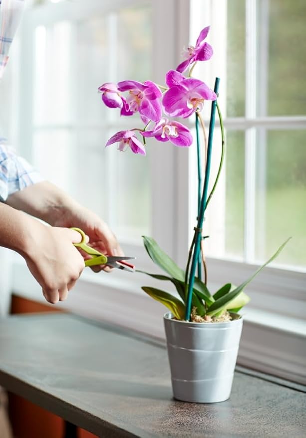 Miracle-Gro Orchid Plant Food Spikes, 2-Pack, 10 Spikes Per Pack