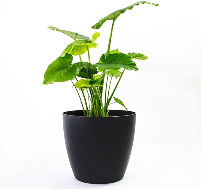 Greenline Manufacturing Memphis 13" Round Indoor Floor Planter Pot – Lightweight & Durable Plastic, Modern Design, Made in USA, Recyclable Large Plant Container for Home & Office Décor (Black)