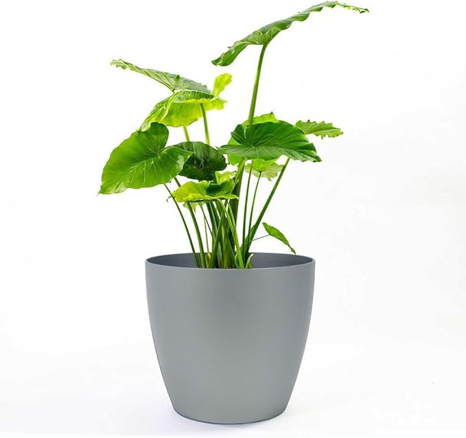 Greenline Manufacturing Memphis 13" Round Indoor Floor Planter Pot – Lightweight & Durable Plastic, Modern Design, Made in USA, Recyclable Large Plant Container for Home & Office Décor (Silver)
