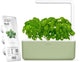 Click & Grow Indoor Herb Garden Kit with Grow Light | Smart Garden for Home Kitchen Windowsill | Easier Than Hydroponics Growing System | Vegetable Gardening Starter (3 Basil Pods Included), Sage