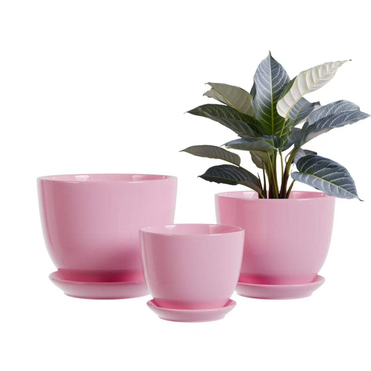 Pink Plant Pots,Ceramic Flower Pots Set of 3 with Drainage Holes & Saucers