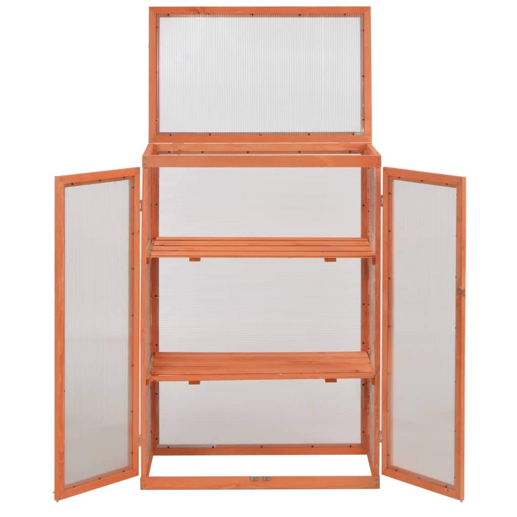 Loibinfen Wooden Portable Greenhouse with 2 Shelves and 2 Doors, Garden Mini Greenhouse Cabinet for Outdoor Indoor Use 29.5"x18.5"x42.9"