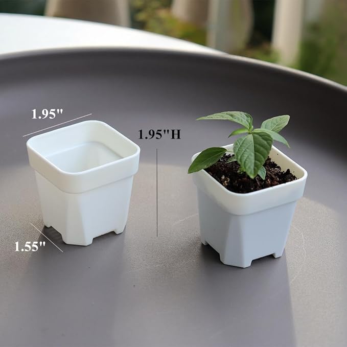 BangQiao 200 Pack 1.95 Inch Tiny White Plastic Square Nursery and Seedling Pot, Mini Transplant Seed Starter Planter with Drain Hole for Germination, Herb, Succulent