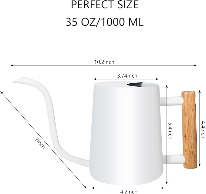 Watering Can Indoor Plants, 35oz Small Stainless Steel Metal Watering Can Modern Decorative Watering Pot with Long Spout for Indoor House Plant Bonsai Outdoor Garden Flowers -White