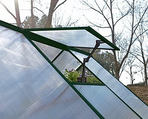 Palram - Canopia Hybrid 6' x 4' Polycarbonate Aluminum Greenhouse, Green
