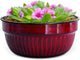 Headwind Glazed Ironstone Boutique Collection Cascade Bowl Plant Pot – Sangria Color 8 Inch Pot for Indoor Plants - Planters for Indoor Plants - Ideal Succulent Planters by Robert Allen