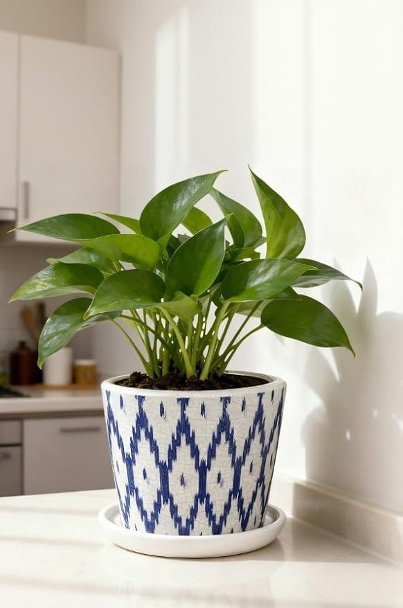 Ceramic Pot for Plants, 5.5 Inch Planter with Saucer and Drainage Hole for Indoor Plants, Ice Crack Vintage Flowers Plant Pots for Succulent Orchid Snake Plants Flower (Blue)