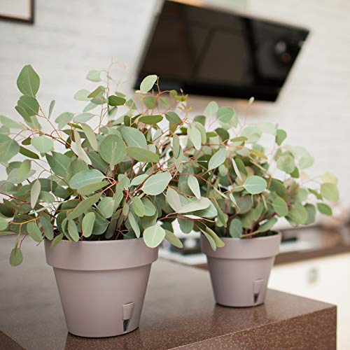 DECOPOTS - Pack of 3 - Self Watering Window Box Planter - Indoor/Outdoor - Windowsill/Oblong Shape Plastic Planter with Bottom Watering and Water Level Indicator (15.6 Inch Long, Terracotta)