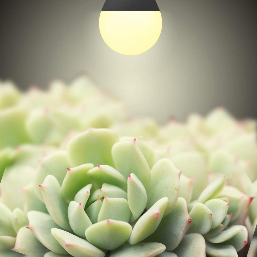 6 Pack LED Grow Light Bulbs，Full Spectrum Plant Light Bulb, 9W Replace 100W