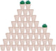 vensovo 48 Pcs Tiny Terracotta & Terra Cotta Pots with Drainage - Pink Small Mini Clay Ceramic Pottery Planter Ideal for Indoor/Outdoor Plants, Crafts, Wedding Favors, 2 Inch Outer Diameter