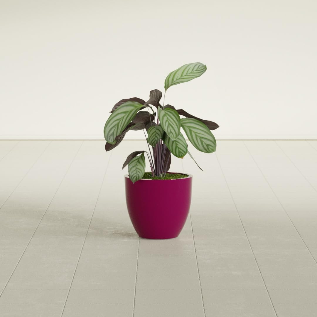 Greenline Lucy Large Round Fiberglass Planter, Tall Modern Indoor/Outdoor