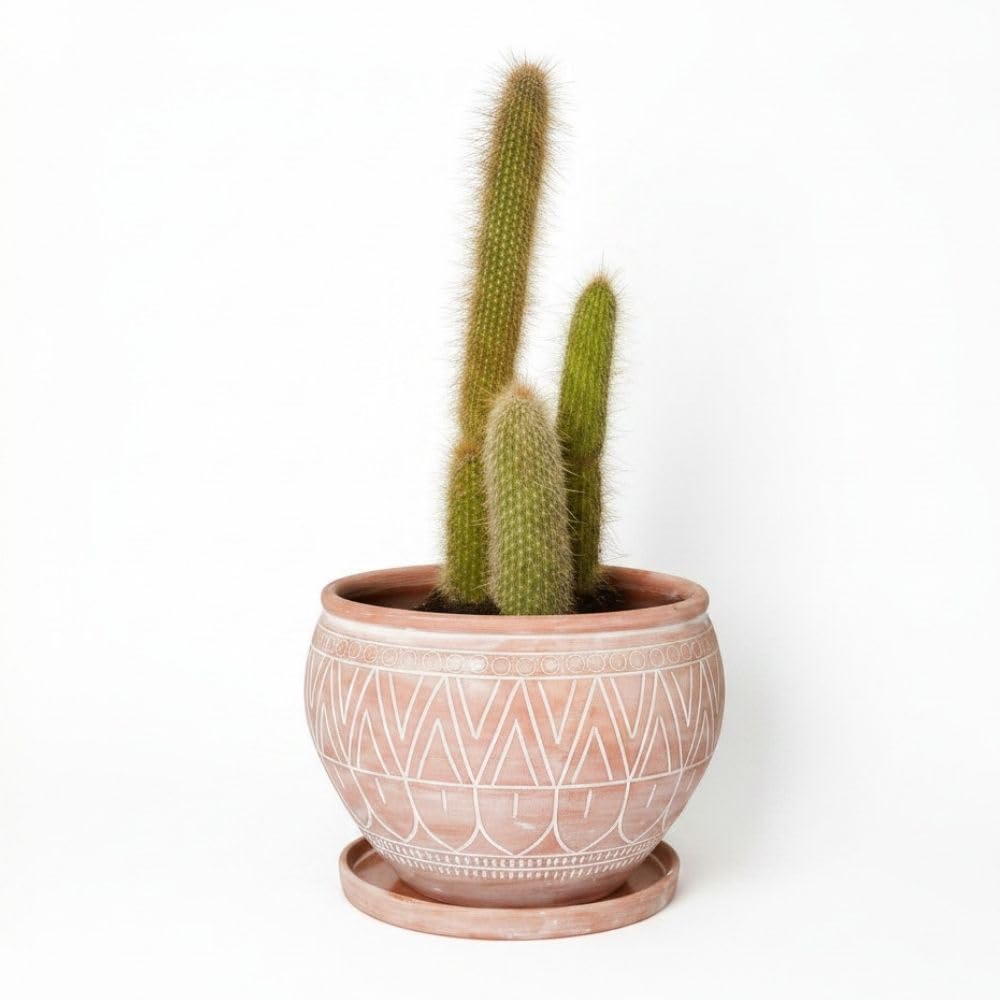 Potthing Large Terracotta Pots with Terracotta Saucer, Plant Pot with Drainage, Engraved Boho Rangoli Design, 14 Inch Plant Pot