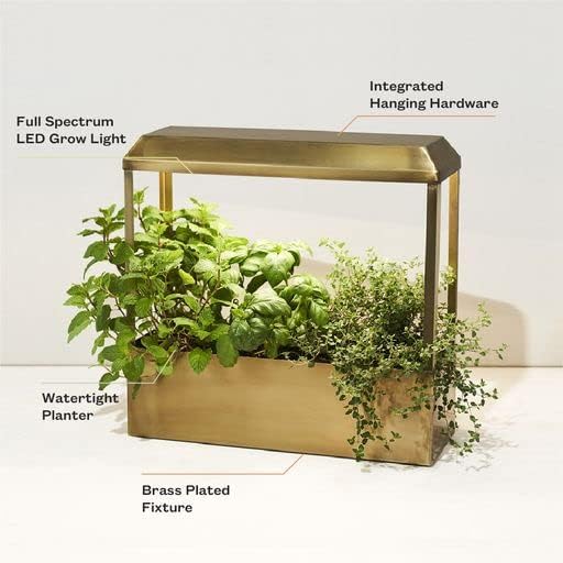 Modern Sprout Smart Growhouse - LED Grow Light for Indoor Plants - Plant Grow Light for Indoor Gardening System - Countertop Planter for Herb Garden with Smart App Control - Brass