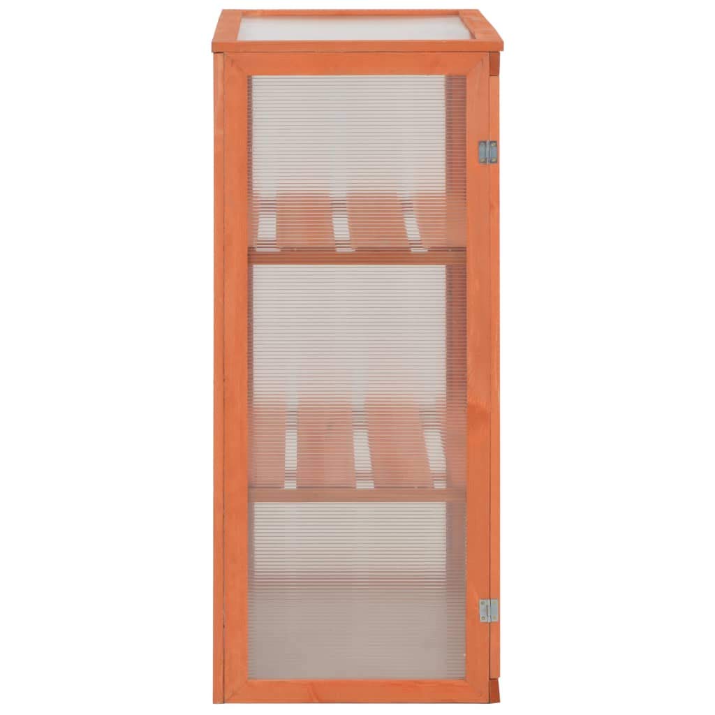 Loibinfen Wooden Portable Greenhouse with 2 Shelves and 2 Doors, Garden Mini Greenhouse Cabinet for Outdoor Indoor Use 29.5"x18.5"x42.9"