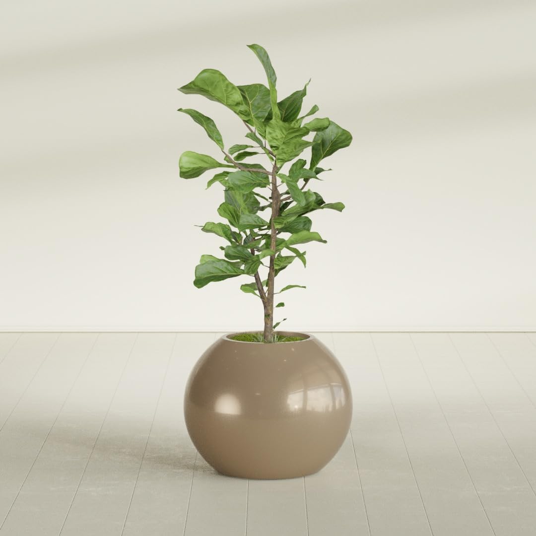 Greenline Nala Large Round Sphere Planter, Modern Fiberglass Indoor/Outdoor