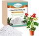 Legigo 6 Quarts Organic Horticultural Perlite for Plants Indoor- Natural Horticultural Soil Additive Conditioner Mix for Improves Drainage, Ventilation and Root Growth