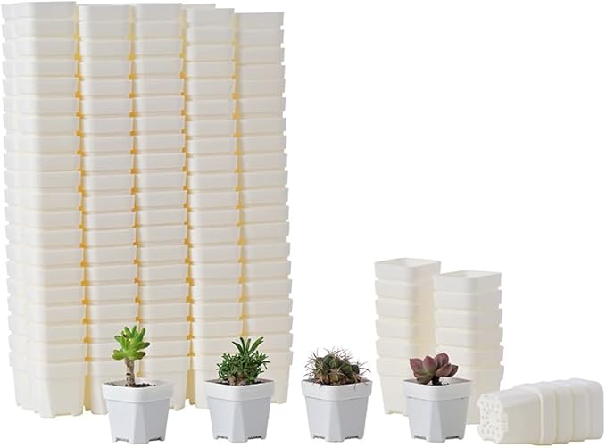 BangQiao 200 Pack 1.95 Inch Tiny White Plastic Square Nursery and Seedling Pot, Mini Transplant Seed Starter Planter with Drain Hole for Germination, Herb, Succulent