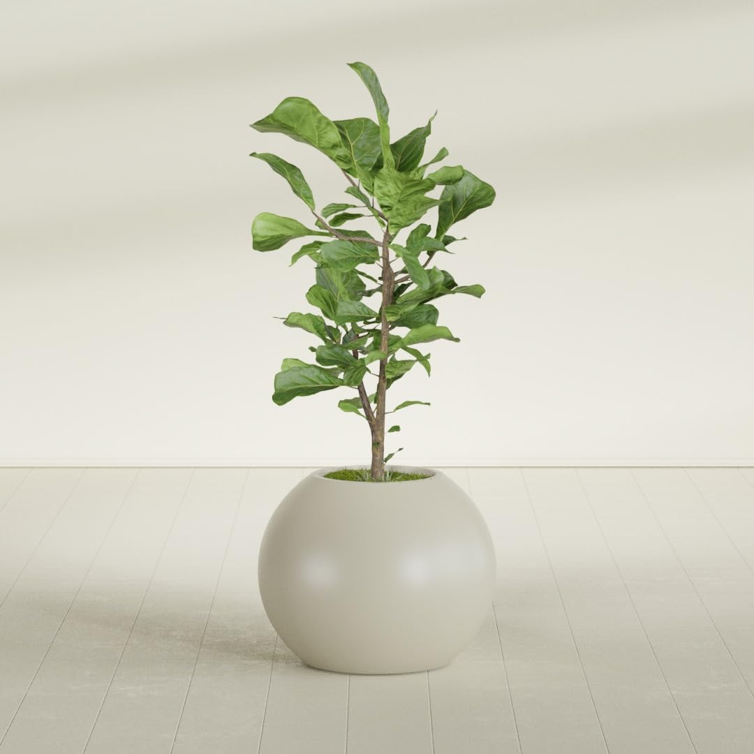 Greenline Nala Large Round Sphere Planter, Modern Fiberglass Indoor/Outdoor