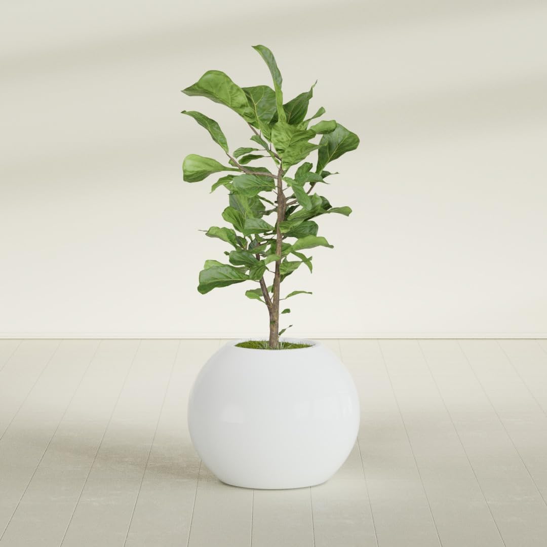 Greenline Nala Large Round Sphere Planter, Modern Fiberglass Indoor/Outdoor