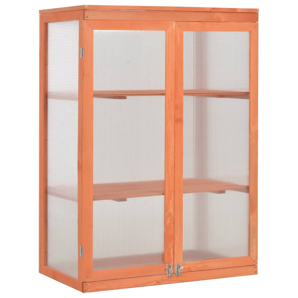 Loibinfen Wooden Portable Greenhouse with 2 Shelves and 2 Doors, Garden Mini Greenhouse Cabinet for Outdoor Indoor Use 29.5"x18.5"x42.9"