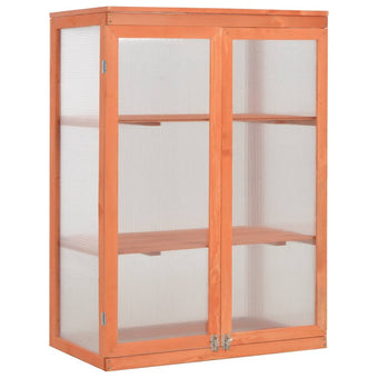 Loibinfen Wooden Portable Greenhouse with 2 Shelves and 2 Doors, Garden Mini Greenhouse Cabinet for Outdoor Indoor Use 29.5"x18.5"x42.9"