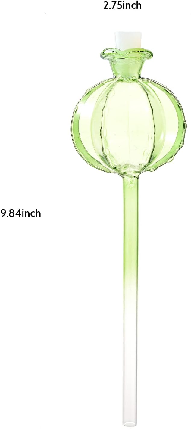 Self Watering Planter Insert. Plant Watering Devices. 3-Pack Cactus Plant Watering Bulbs. Plant Watering Globes. Plant Gifts Plant Lover Gifts