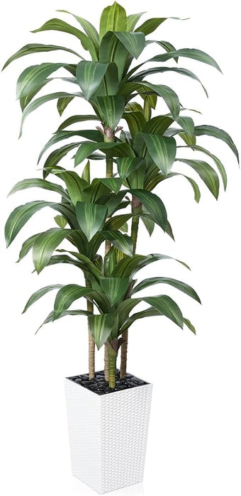 VeriNatural Artificial Dracaena Tree 6FT - Fake Tree with White Taper Planter & Pebbles - UV Resistant Faux Yucca Tropical Plant - Artificial Trees for Home Office Living Room Decor Indoor Outdoor