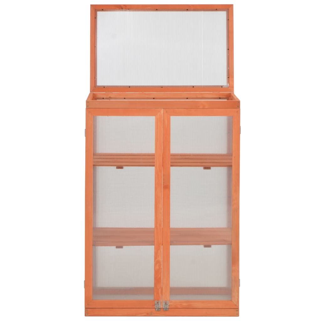 Loibinfen Wooden Portable Greenhouse with 2 Shelves and 2 Doors, Garden Mini Greenhouse Cabinet for Outdoor Indoor Use 29.5"x18.5"x42.9"