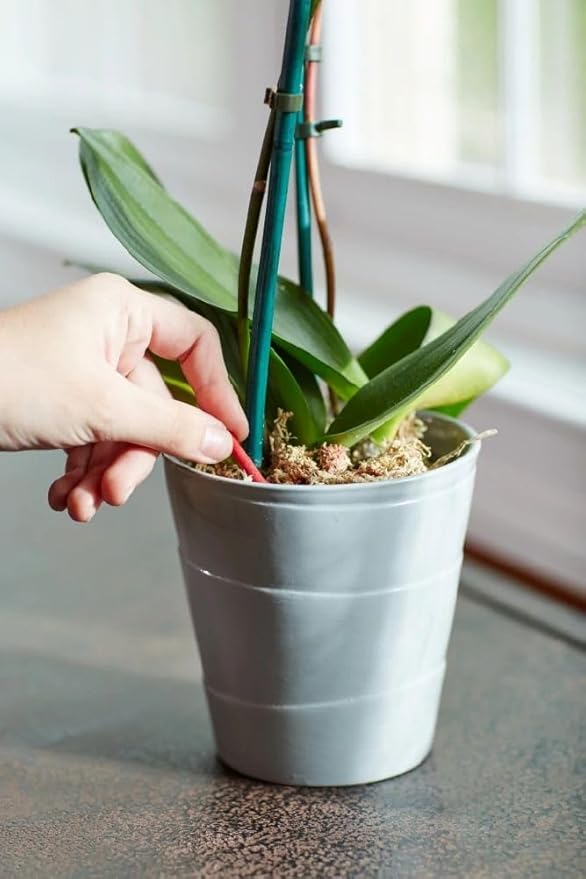 Miracle-Gro Orchid Plant Food Spikes