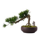 YXIANG56Q Fake Plants 17'' Small Artificial Bonsai Tree Fake Plants in Ceramic Potted Bonsai Tree Decoration for Home Desk Office Farmhouse Indoor and Outdoor Bonsai Tree