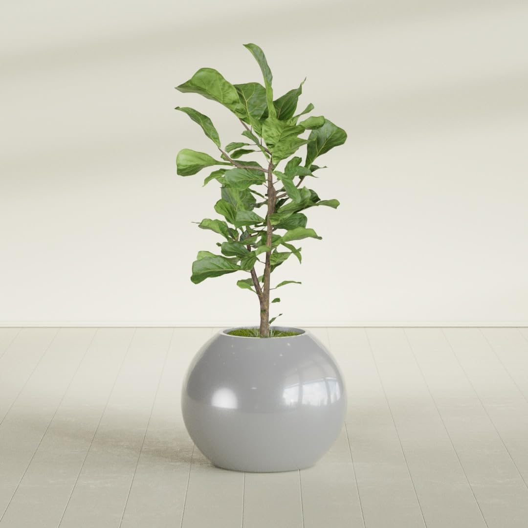 Greenline Nala Large Round Sphere Planter, Modern Fiberglass Indoor/Outdoor