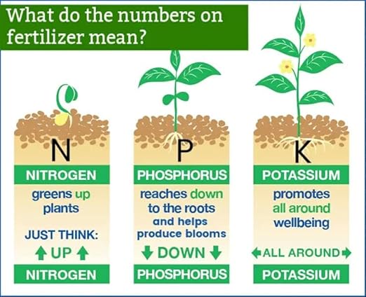 Premium 13-3-13 All-Season Fast Acting Landscape and Ornamental Fertilizer by Gardenera - Promotes Biomass Growth and Vibrant Leaf Color - 1 Quarts