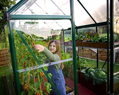 Palram - Canopia Hybrid 6' x 8' Polycarbonate Aluminum Greenhouse, Green