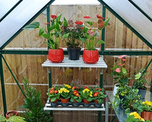 Palram - Canopia Hybrid 6' x 4' Polycarbonate Aluminum Greenhouse, Green