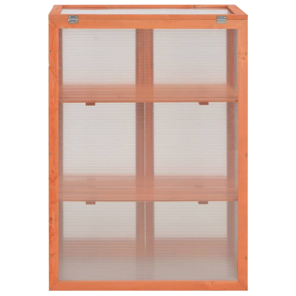 Loibinfen Wooden Portable Greenhouse with 2 Shelves and 2 Doors, Garden Mini Greenhouse Cabinet for Outdoor Indoor Use 29.5"x18.5"x42.9"