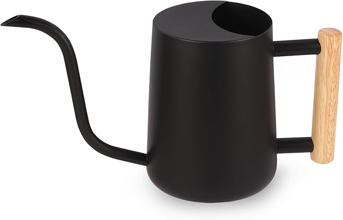 Plant Watering Can,35oz Metal Watering Can,Stainless Steel Indoor Plants with Long Curved Spout,Small Bonsai Outdoor Garden Modern Decorative(Black)