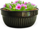 Headwind Glazed Ironstone Boutique Collection Cascade Bowl Plant Pot – Graphite Color 8 Inch Pot for Indoor Plants - Planters for Indoor Plants - Ideal Succulent Planters by Robert Allen