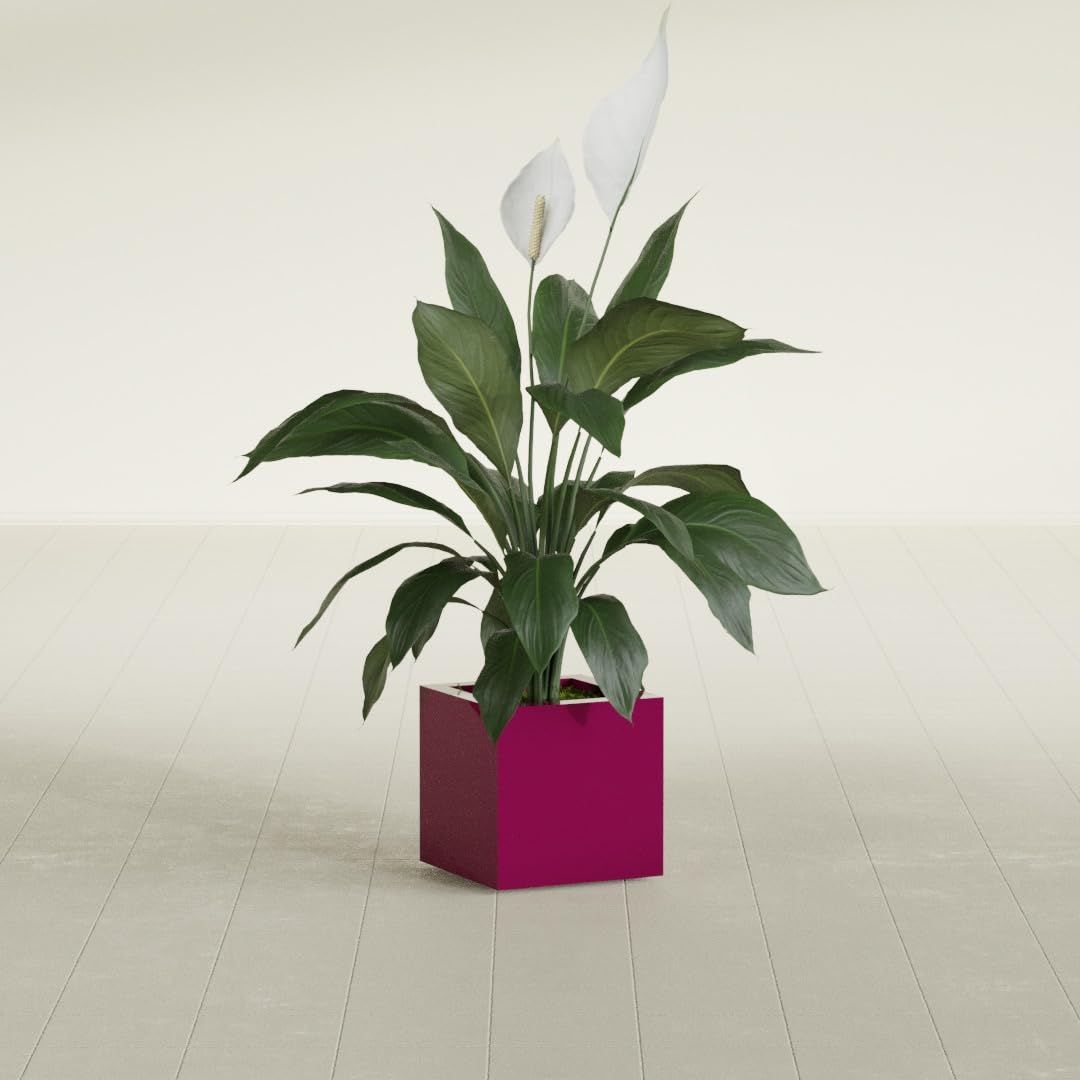 Greenline Jack Large Square Cube Fiberglass Planter, Modern Indoor/Outdoor
