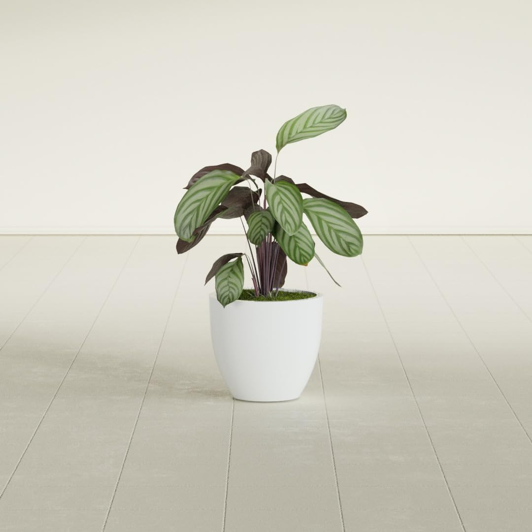 Greenline Lucy Large Round Fiberglass Planter, Tall Modern Indoor/Outdoor