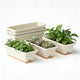 Window Box Planter, 6 Pack Plastic Vegetable Flower Window Planters Boxes 16 Inches Rectangular Flower Pots with Drainage Holes and Saucers (White)