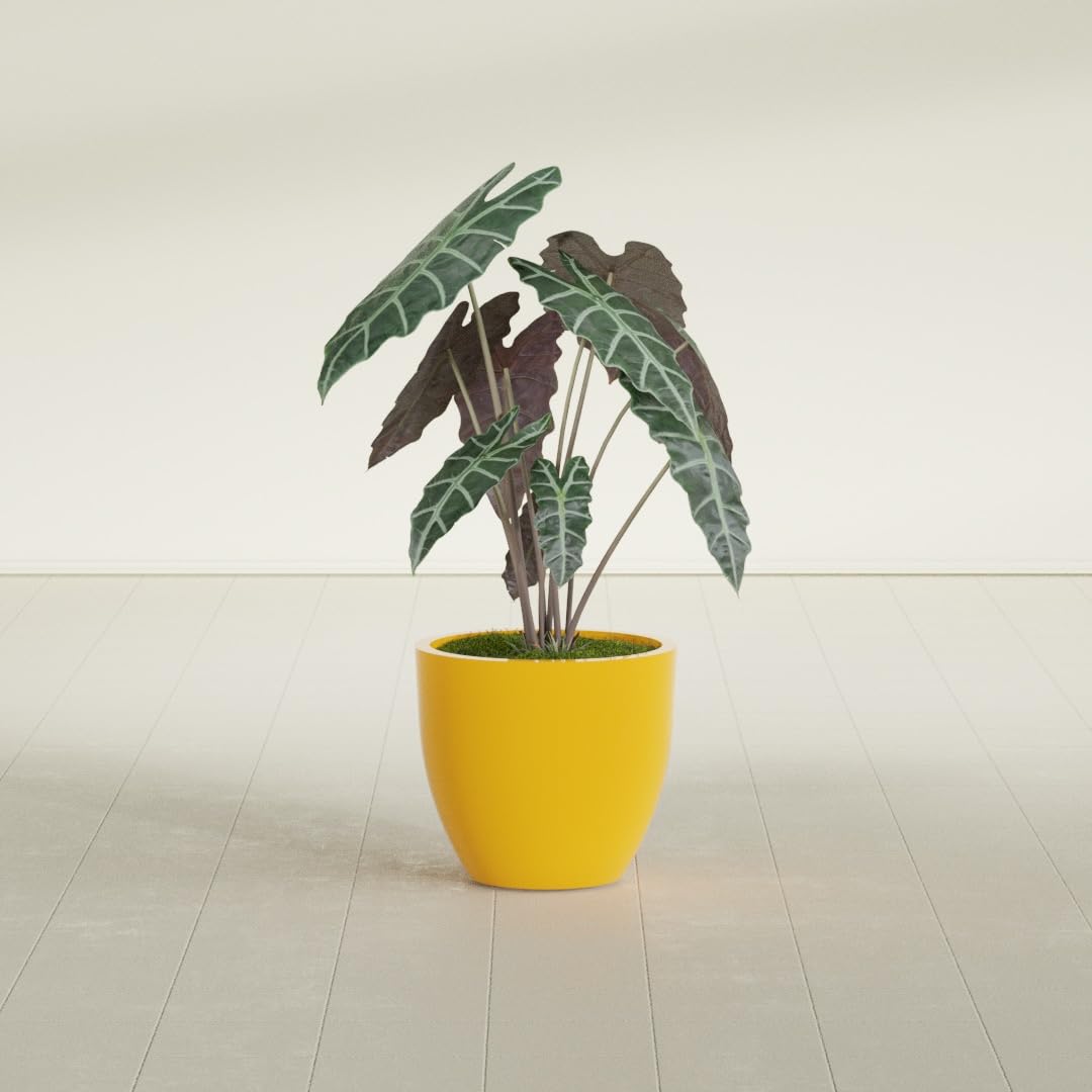Greenline Lucy Large Round Fiberglass Planter, Tall Modern Indoor/Outdoor