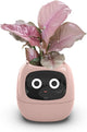 Smart Flowerpots,Smart Pet Planter,Ai Planter,Intelligent Flowerpots,Multiple Expressions,7 Smart Sensors, And Ai Chips Make Raising Plants Easy And Fun For Living Room,Desk,Plant-free (Pink)