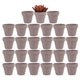 Yishang 27 pcs Small Mini Grey Clay Pots, 2 inch Terracotta Pot Clay Ceramic Pottery Planter,Cactus Flower Terra Cotta Pots,Succulents Nursery Pots,with Drainage Hole,Great for Crafts,Wedding Favor