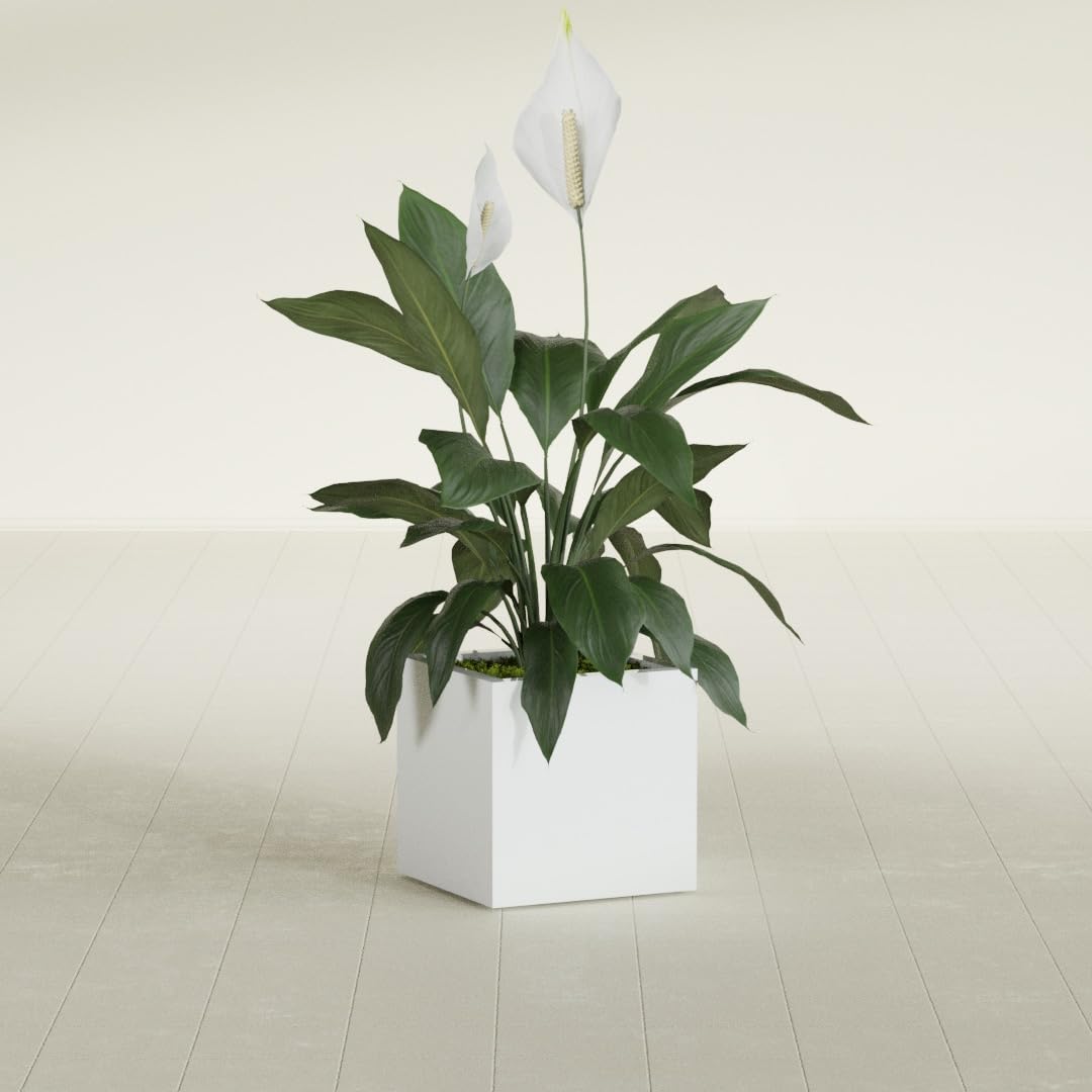 Greenline Jack Large Square Cube Fiberglass Planter, Modern Indoor/Outdoor