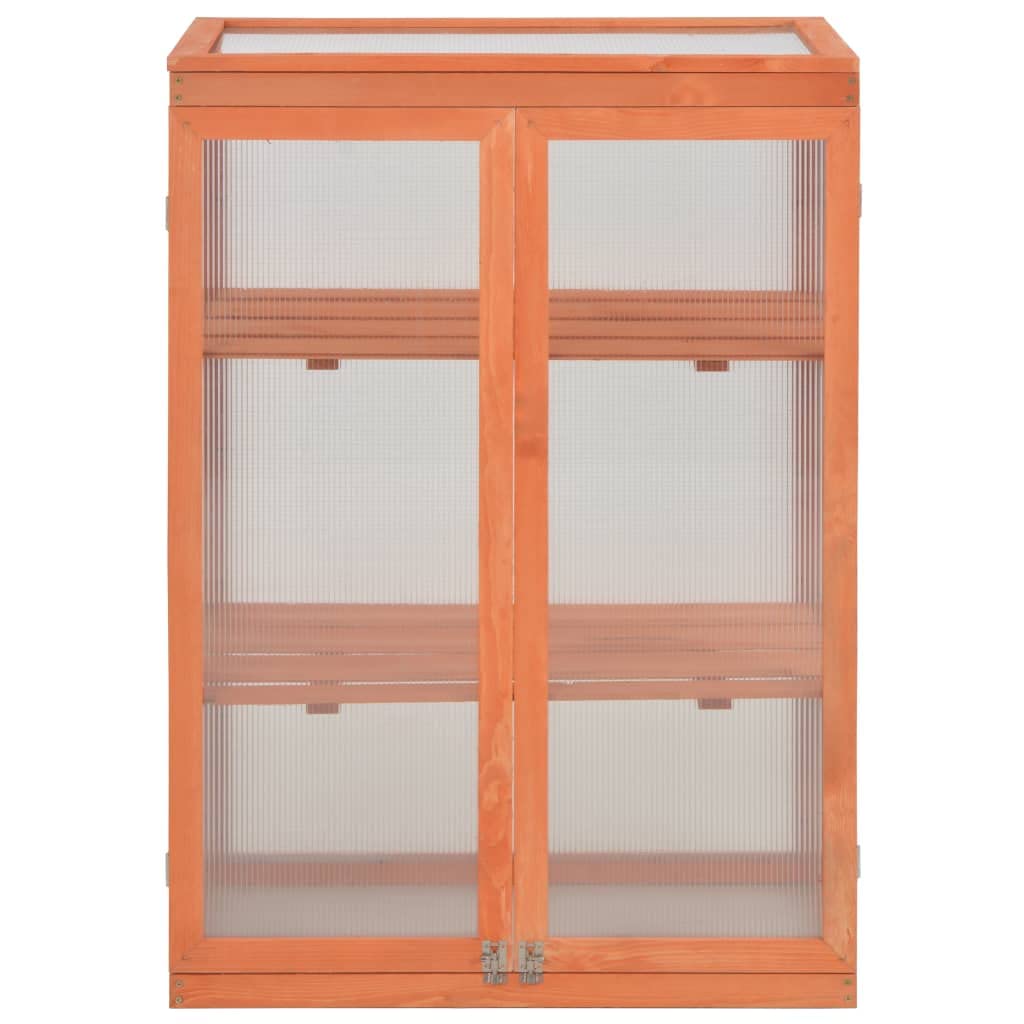 Loibinfen Wooden Portable Greenhouse with 2 Shelves and 2 Doors, Garden Mini Greenhouse Cabinet for Outdoor Indoor Use 29.5"x18.5"x42.9"