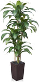 VeriNatural Artificial Dracaena Tree 6FT - Fake Tree with Brown Taper Planter & Pebbles - UV Resistant Faux Yucca Tropical Plant - Artificial Trees for Home Office Living Room Decor Indoor Outdoor