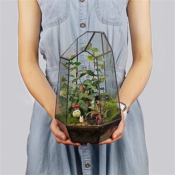 Geometric Glass Terrarium for Indoor Plants,Irregular Clear Planter,Black Opened Container Pot for Cacti,Succulents and Moss,Home Garden Office Tabletop Decor,6.5x5.7x9.8'' No Door