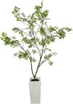 AfanD Artificial Elm Tree Faux Elm Tree 6ft Tall Fake Plant in Pot Fake Silk Tree Faux Plants Indoor