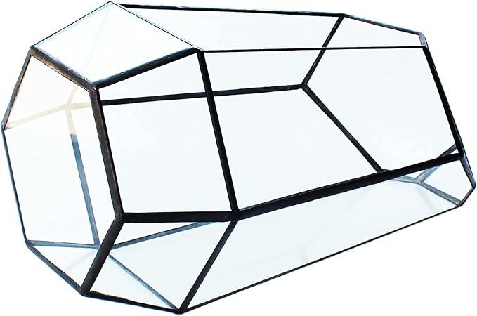 Geometric Glass Terrarium for Indoor Plants,Irregular Clear Planter,Black Opened Container Pot for Cacti,Succulents and Moss,Home Garden Office Tabletop Decor,6.5x5.7x9.8'' No Door