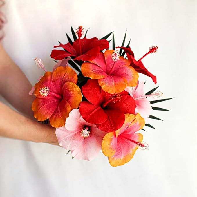 Red Hibiscus. rosa-sinensis. Live Plant - Tropical Blooming Hibiscus, Pretty Flowers, Used in Tea and Juice (2 red Hibiscus Cups)